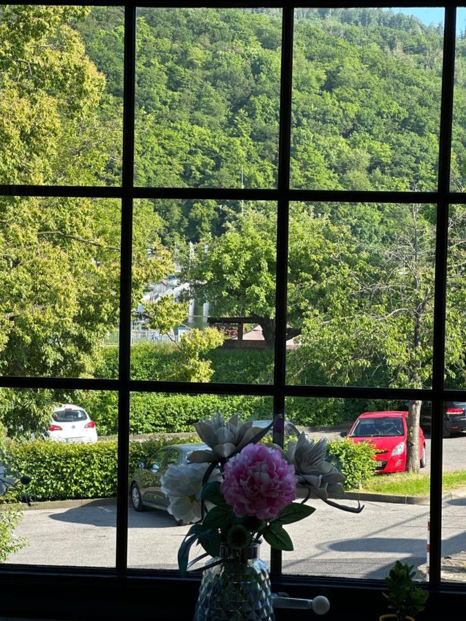 Green Seeblick Hotel Am See Obermaubach Bagian luar foto