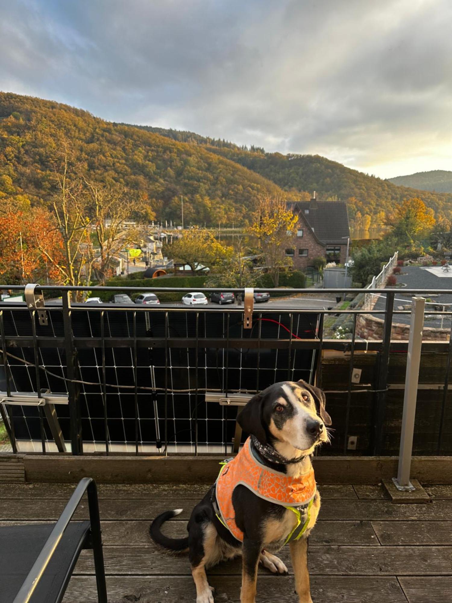 Green Seeblick Hotel Am See Obermaubach Bagian luar foto